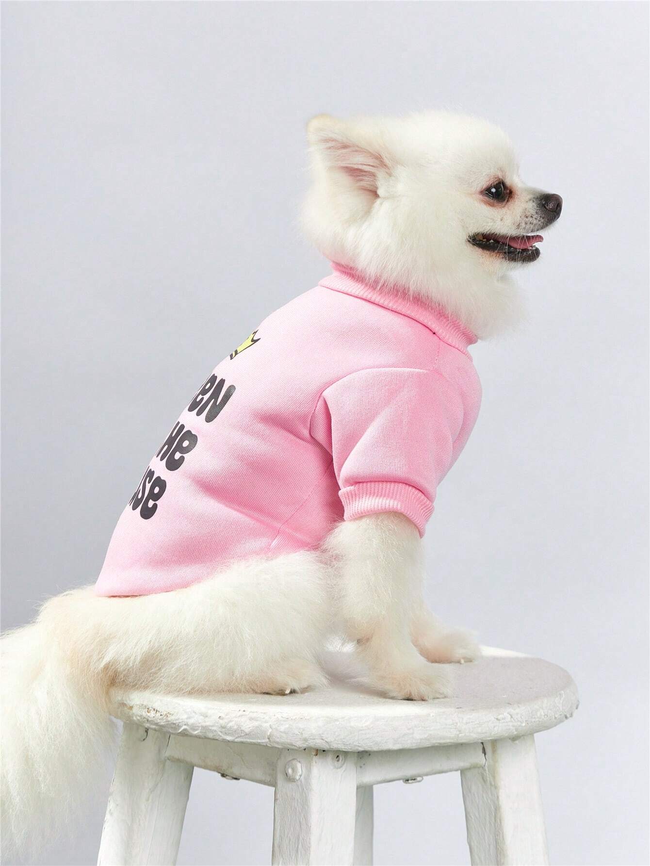 Pink Cartoon Pet Sweatshirt | Queen Crown Hoodie for Pets