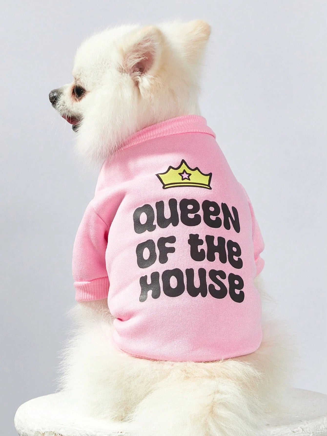 Pink Cartoon Pet Sweatshirt | Queen Crown Hoodie for Pets
