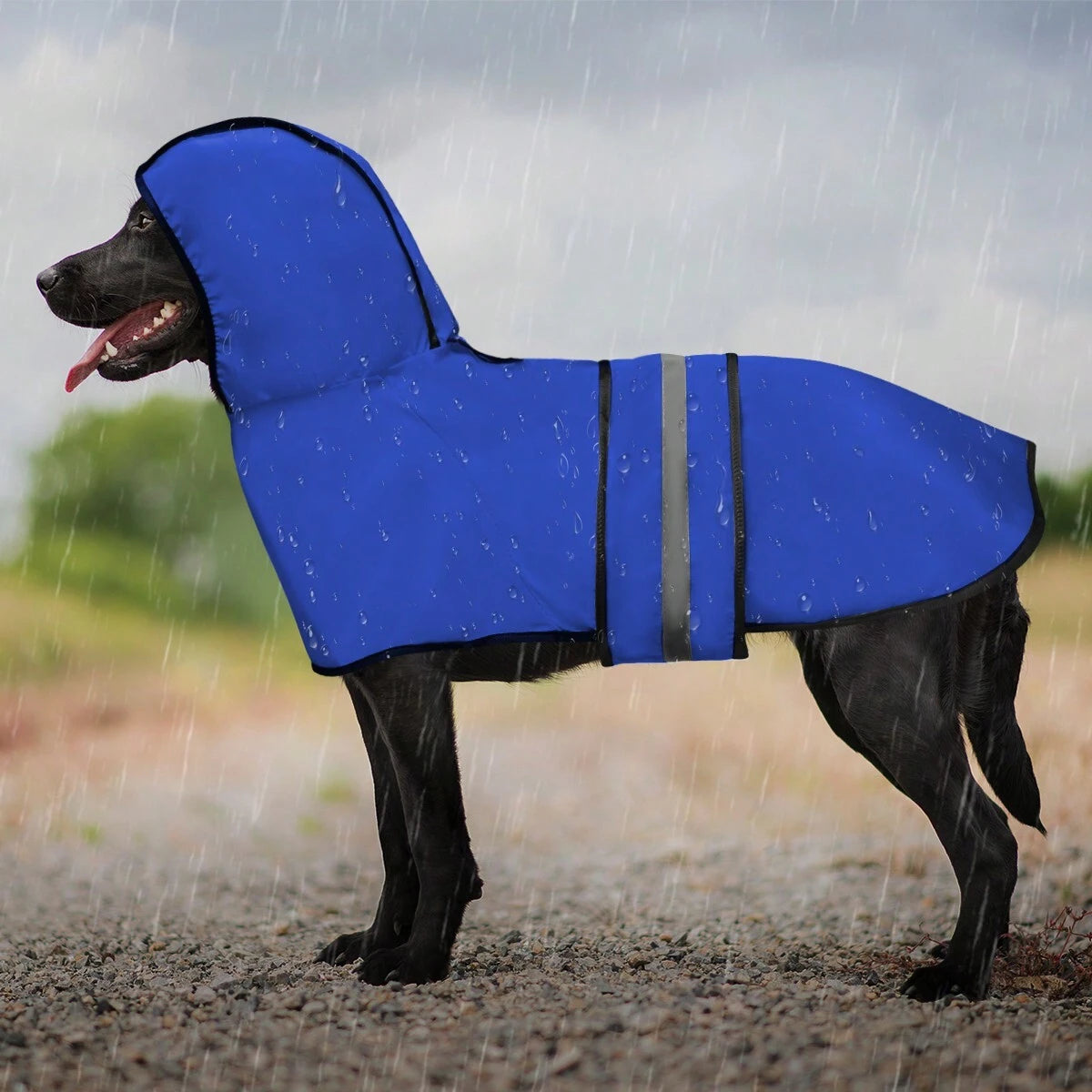Reflective Dog Raincoat – Lightweight Waterproof Pet Jacket