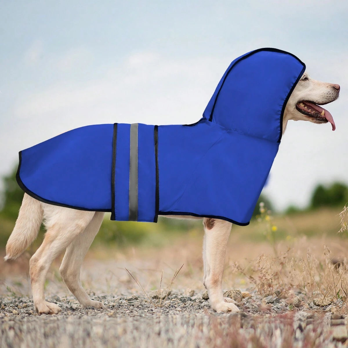 Reflective Dog Raincoat – Lightweight Waterproof Pet Jacket