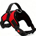 Reflective No-Pull Dog Harness with Leash – Adjustable Pet Vest