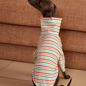 Striped Dog Sweatshirt – Long-Sleeve Pet Sweater
