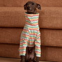Striped Dog Sweatshirt – Long-Sleeve Pet Sweater
