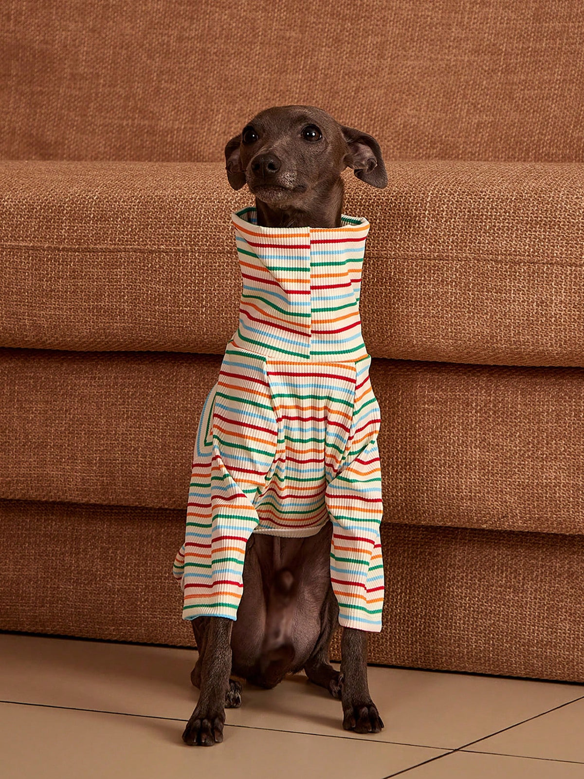 Striped Dog Sweatshirt – Long-Sleeve Pet Sweater