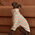 Striped Dog Sweatshirt – Long-Sleeve Pet Sweater