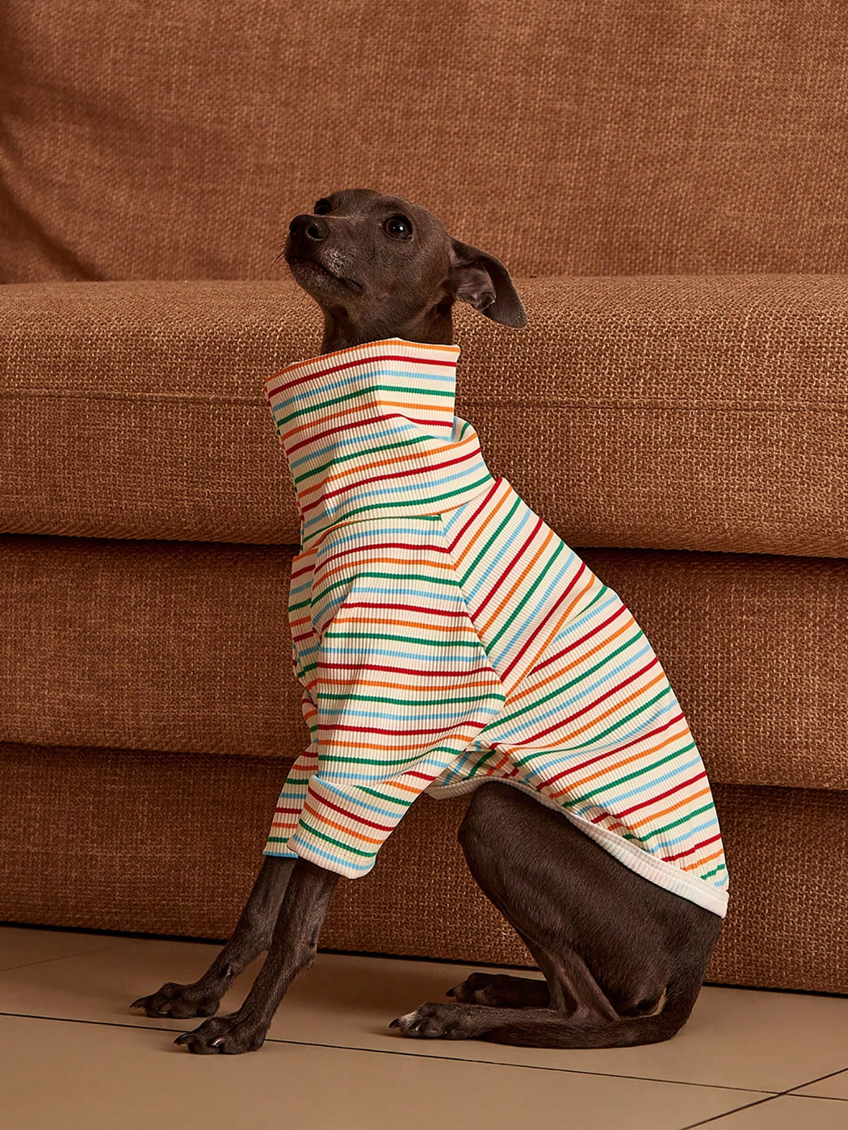 Striped Dog Sweatshirt – Long-Sleeve Pet Sweater