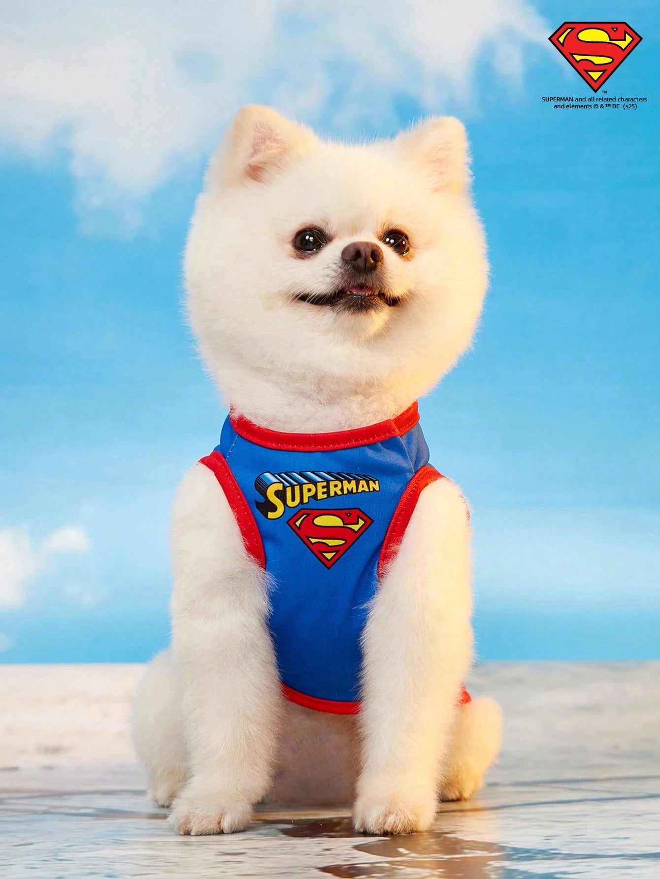 Superman Pet Vest for Cats & Small Dogs | Lightweight & Breathable
