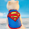 Superman Pet Vest for Cats & Small Dogs | Lightweight & Breathable