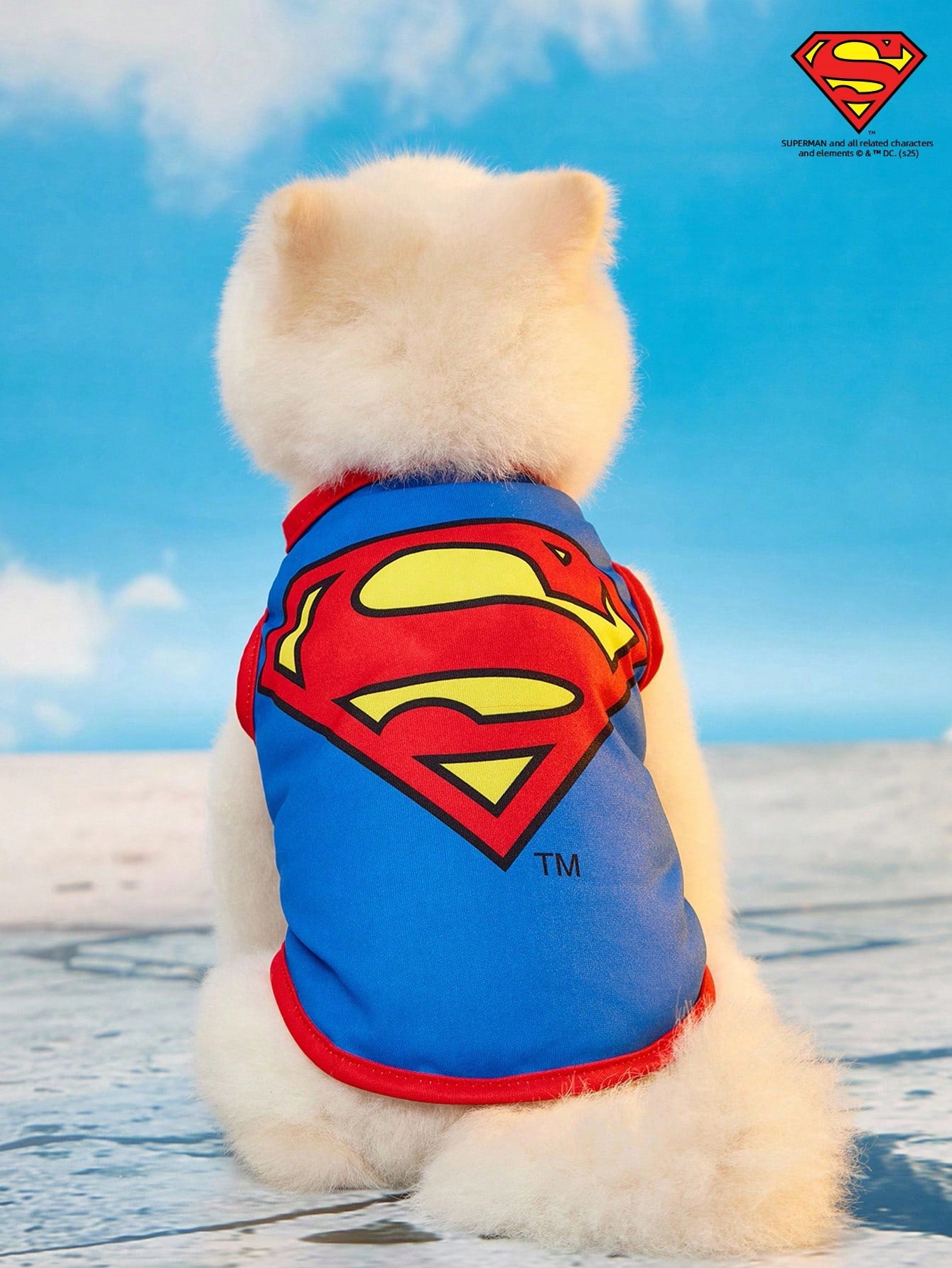 Superman Pet Vest for Cats & Small Dogs | Lightweight & Breathable