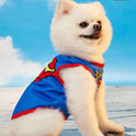 Superman Pet Vest for Cats & Small Dogs | Lightweight & Breathable