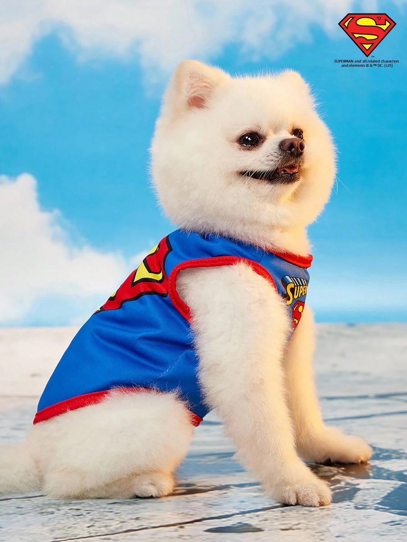 Superman Pet Vest for Cats & Small Dogs | Lightweight & Breathable