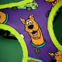 Scooby-Doo Pet Harness & Leash Set for Cats & Small Dogs