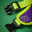 Scooby-Doo Pet Harness & Leash Set for Cats & Small Dogs