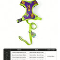Scooby-Doo Pet Harness & Leash Set for Cats & Small Dogs