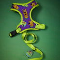 Scooby-Doo Pet Harness & Leash Set for Cats & Small Dogs
