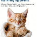 2-in-1 Cat Shampoo & Conditioner | Gentle Coat Care Formula