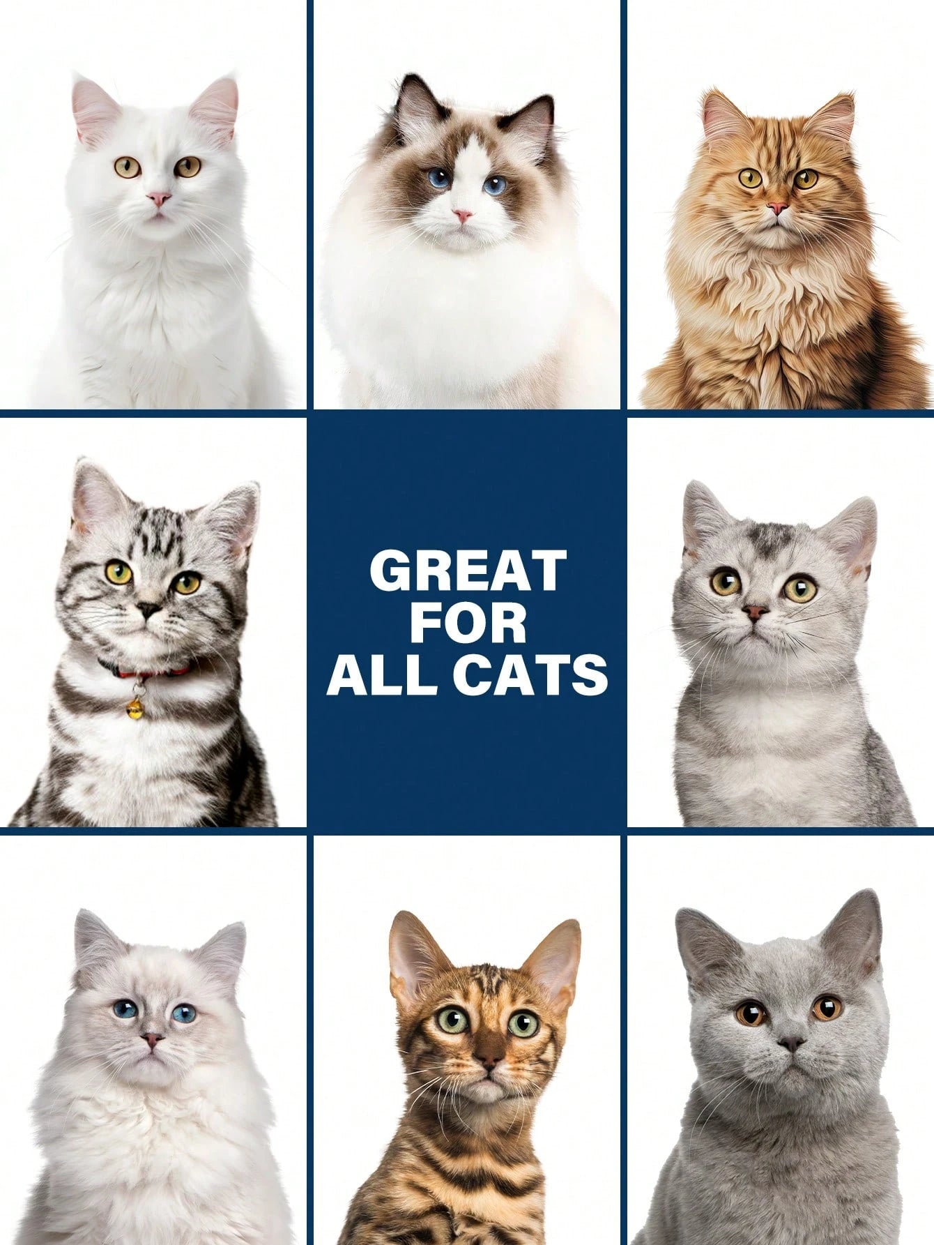 2-in-1 Cat Shampoo & Conditioner | Gentle Coat Care Formula