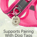 Leopard Print Cat & Dog Harness & Leash Set – Reflective Mesh