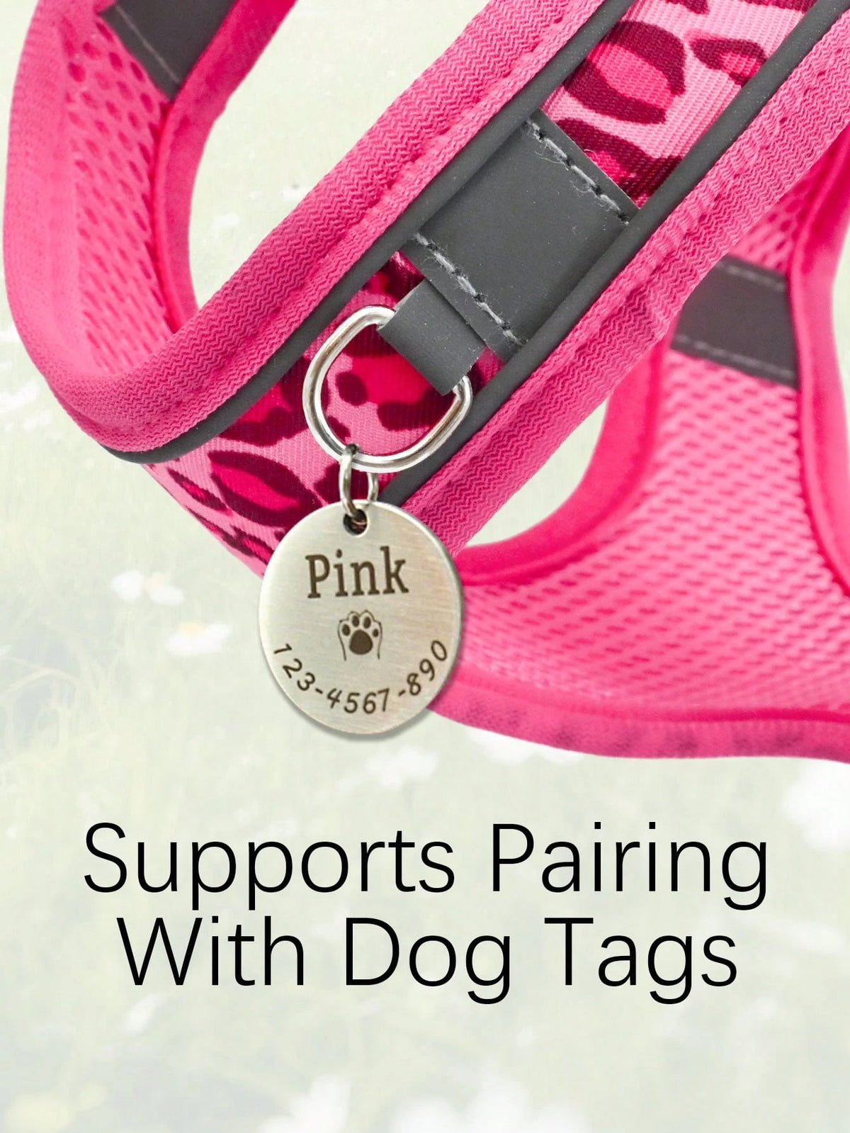Leopard Print Cat & Dog Harness & Leash Set – Reflective Mesh