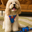 Superman Pet Harness & Leash Set | Adjustable Dog & Cat Walking Set