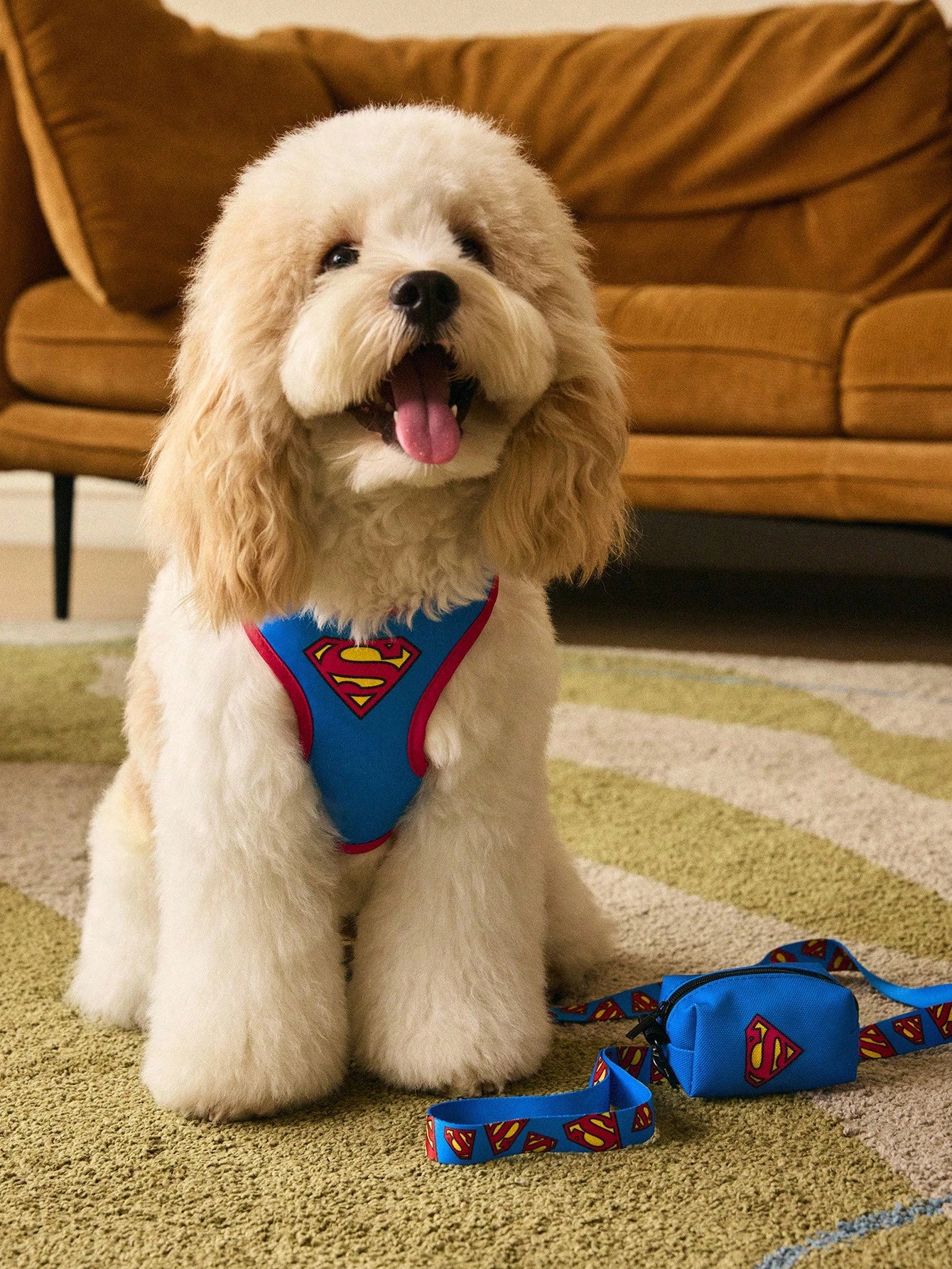 Superman Pet Harness & Leash Set | Adjustable Dog & Cat Walking Set