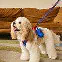Superman Pet Harness & Leash Set | Adjustable Dog & Cat Walking Set