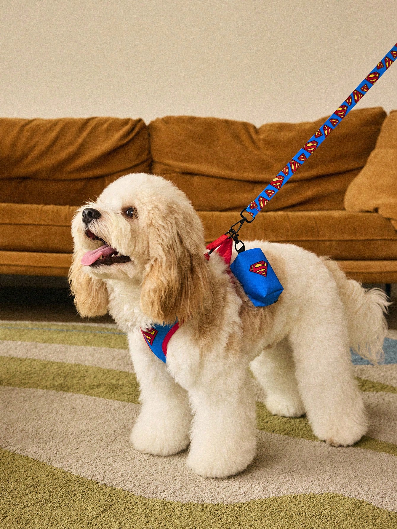 Superman Pet Harness & Leash Set | Adjustable Dog & Cat Walking Set