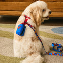 Superman Pet Harness & Leash Set | Adjustable Dog & Cat Walking Set