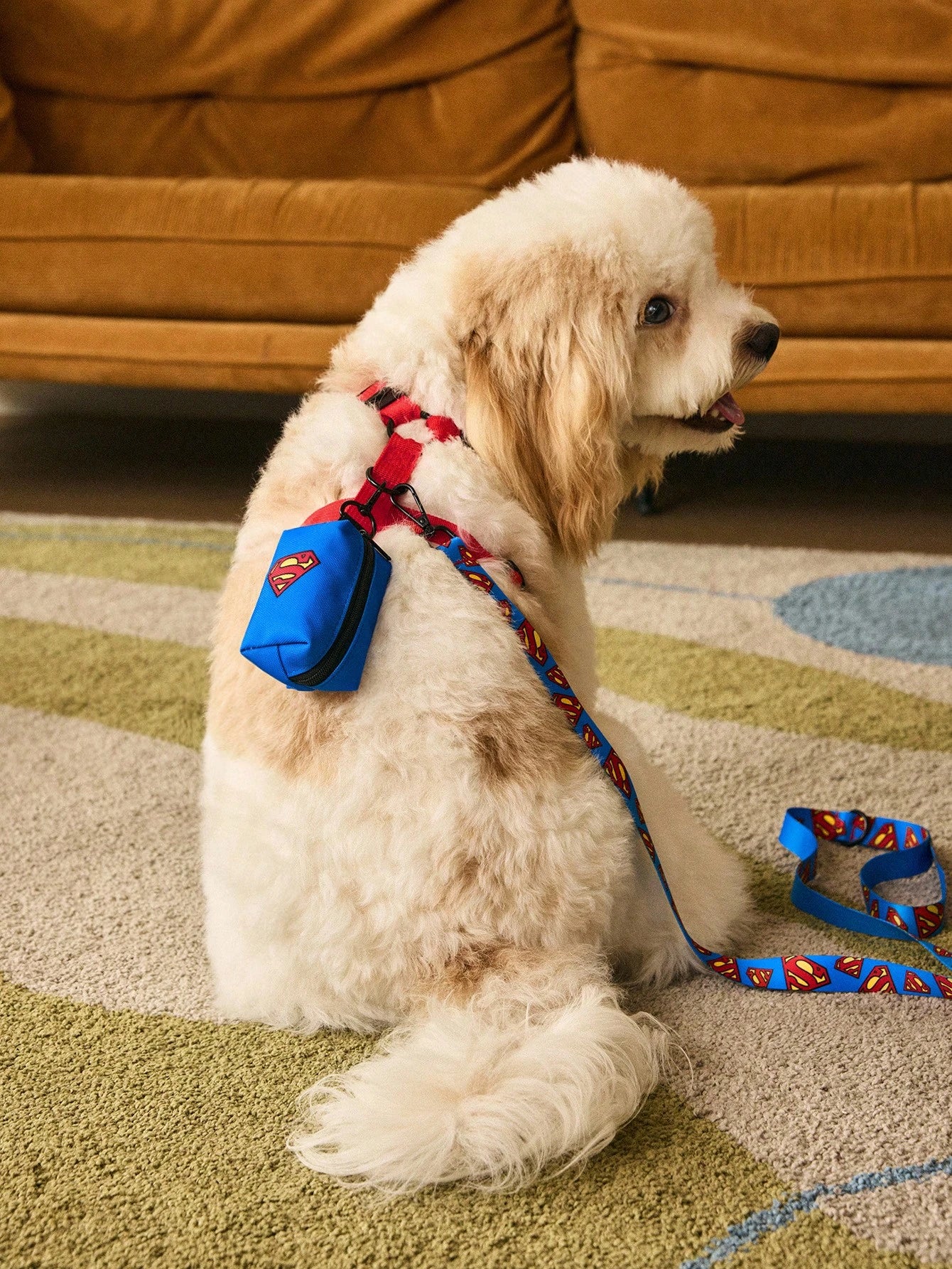 Superman Pet Harness & Leash Set | Adjustable Dog & Cat Walking Set