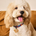 Superman Pet Harness & Leash Set | Adjustable Dog & Cat Walking Set