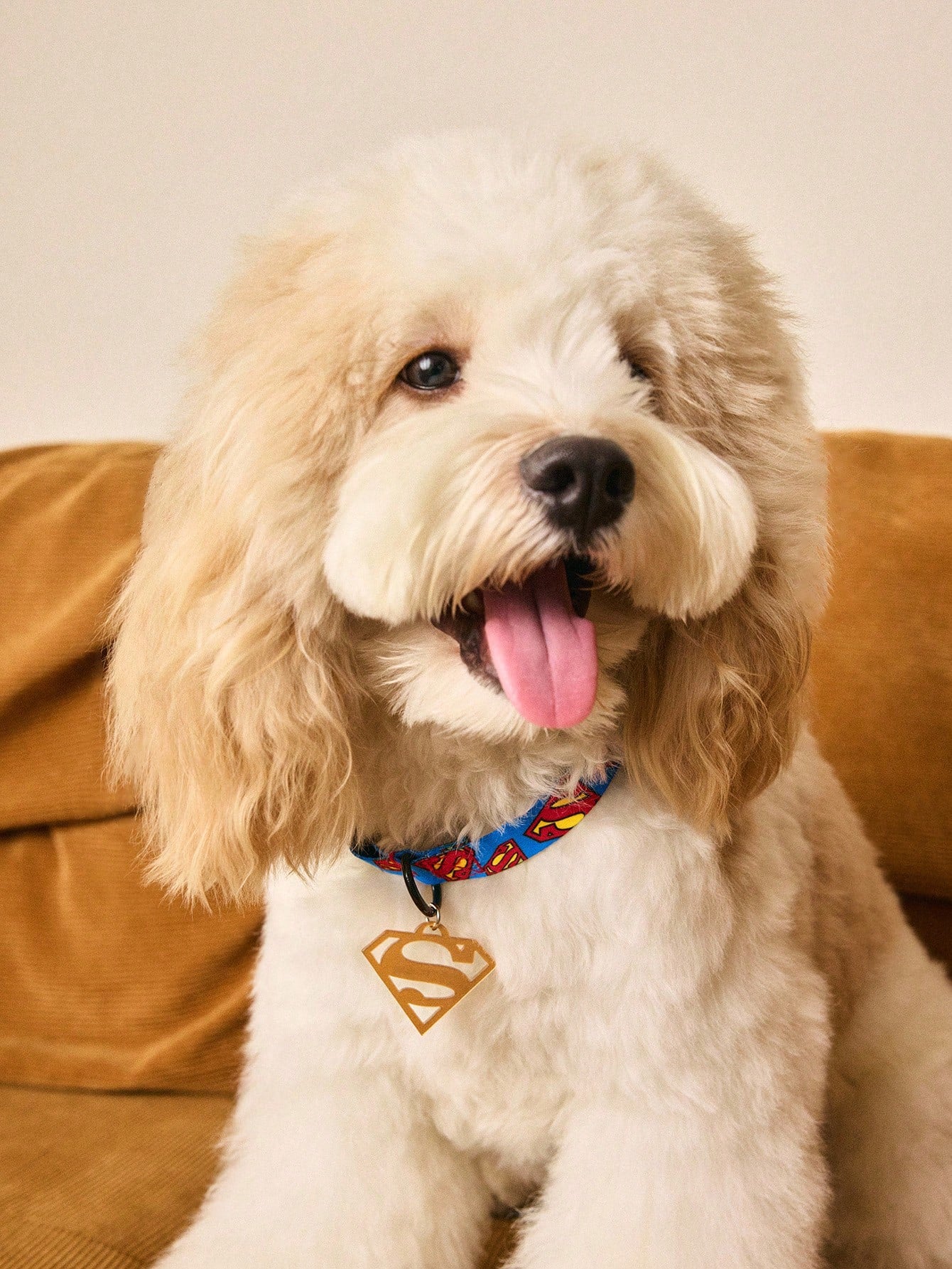 Superman Pet Harness & Leash Set | Adjustable Dog & Cat Walking Set