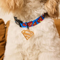 Superman Pet Harness & Leash Set | Adjustable Dog & Cat Walking Set
