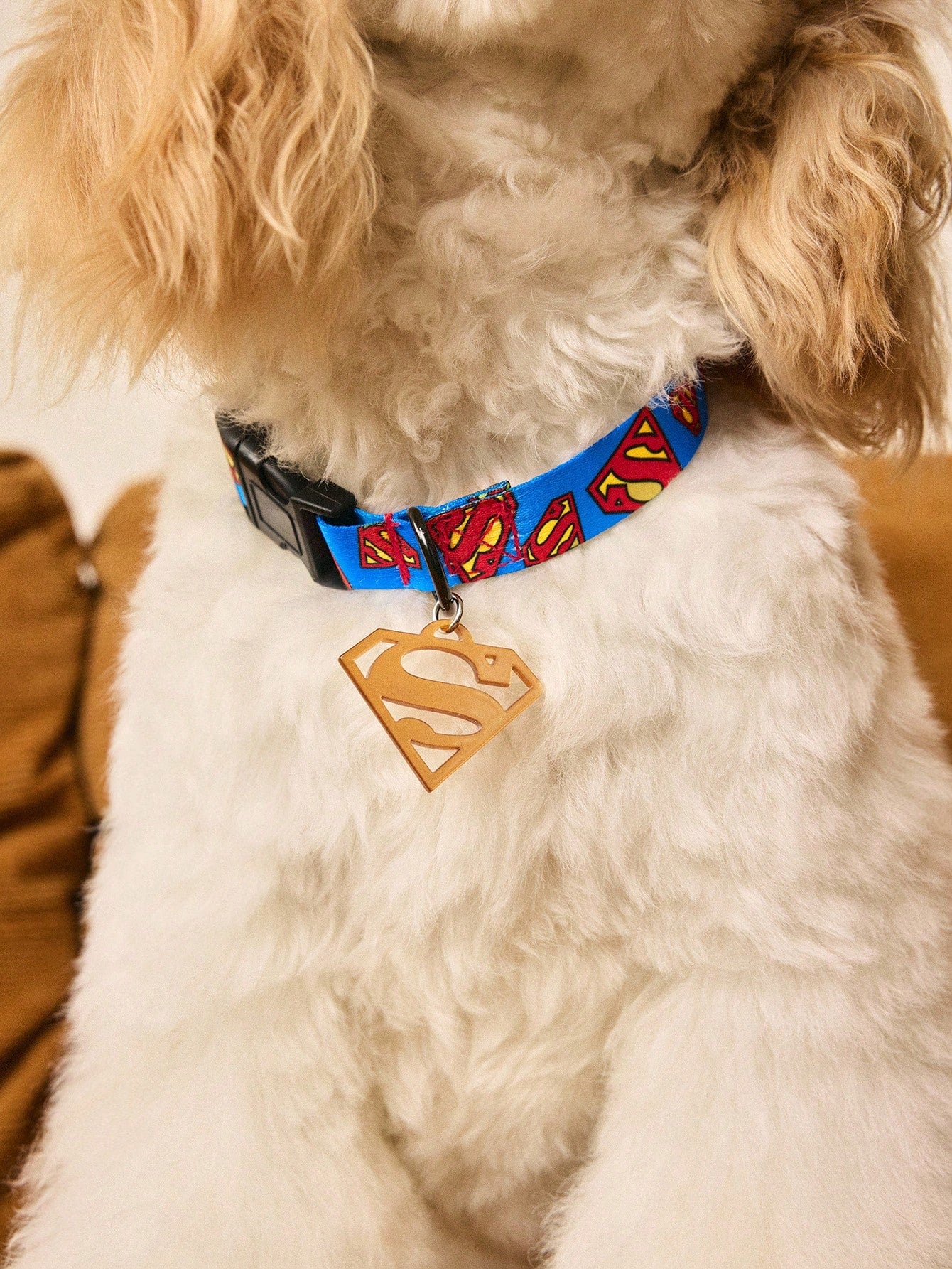 Superman Pet Harness & Leash Set | Adjustable Dog & Cat Walking Set