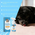 Pet Stain & Odor Remover Spray | Multi-Surface Cleaner (100ml)