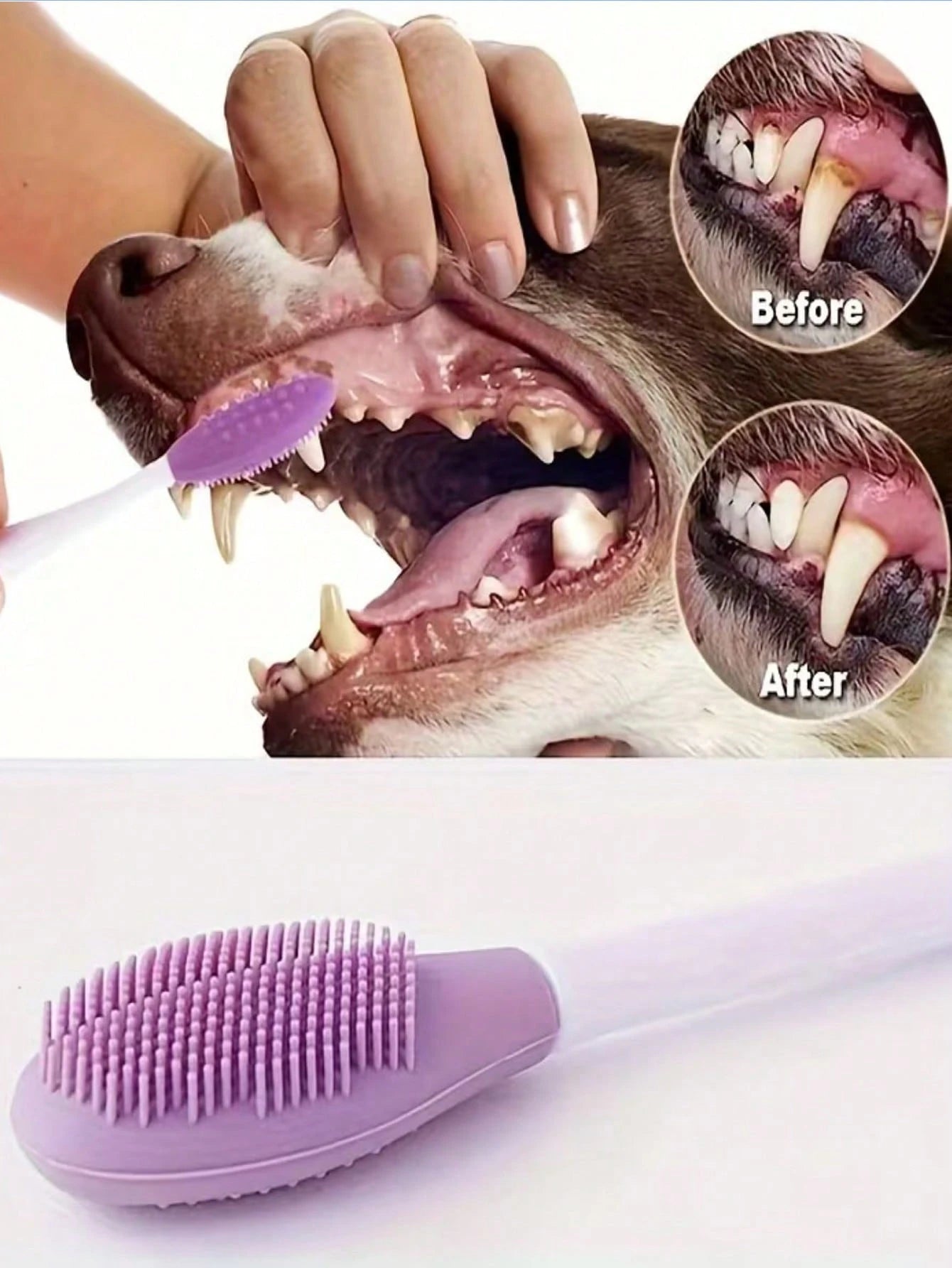 4-Piece Dog Toothbrush Set for Dogs & Cats | 360° Pet Dental Care