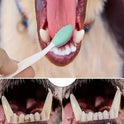 4-Piece Dog Toothbrush Set for Dogs & Cats | 360° Pet Dental Care
