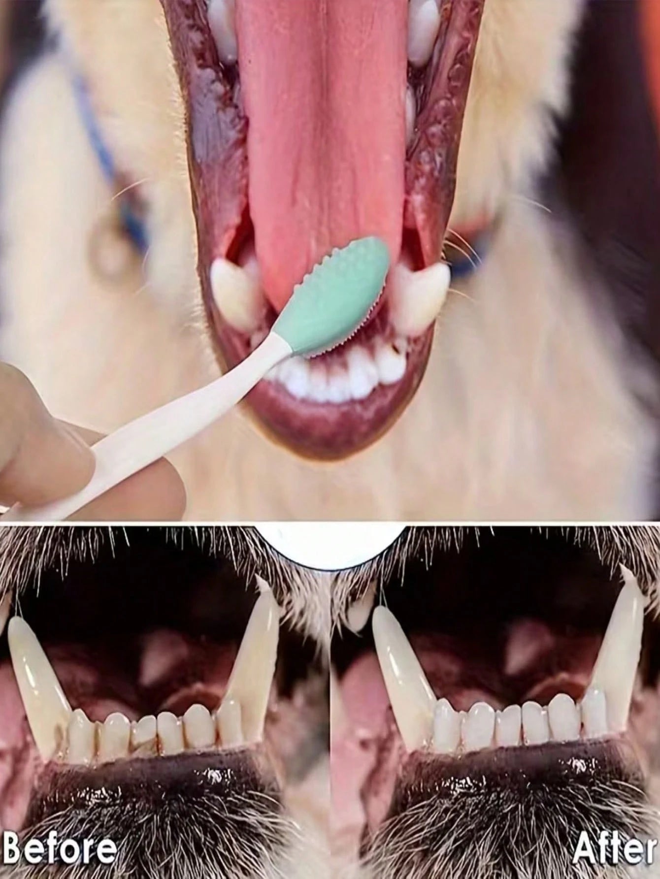 4-Piece Dog Toothbrush Set for Dogs & Cats | 360° Pet Dental Care