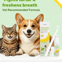 Dog Teeth Cleaning Kit – Banana Mint Toothpaste, Toothbrush & Finger Brush