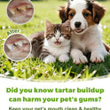 Dog Teeth Cleaning Kit – Banana Mint Toothpaste, Toothbrush & Finger Brush