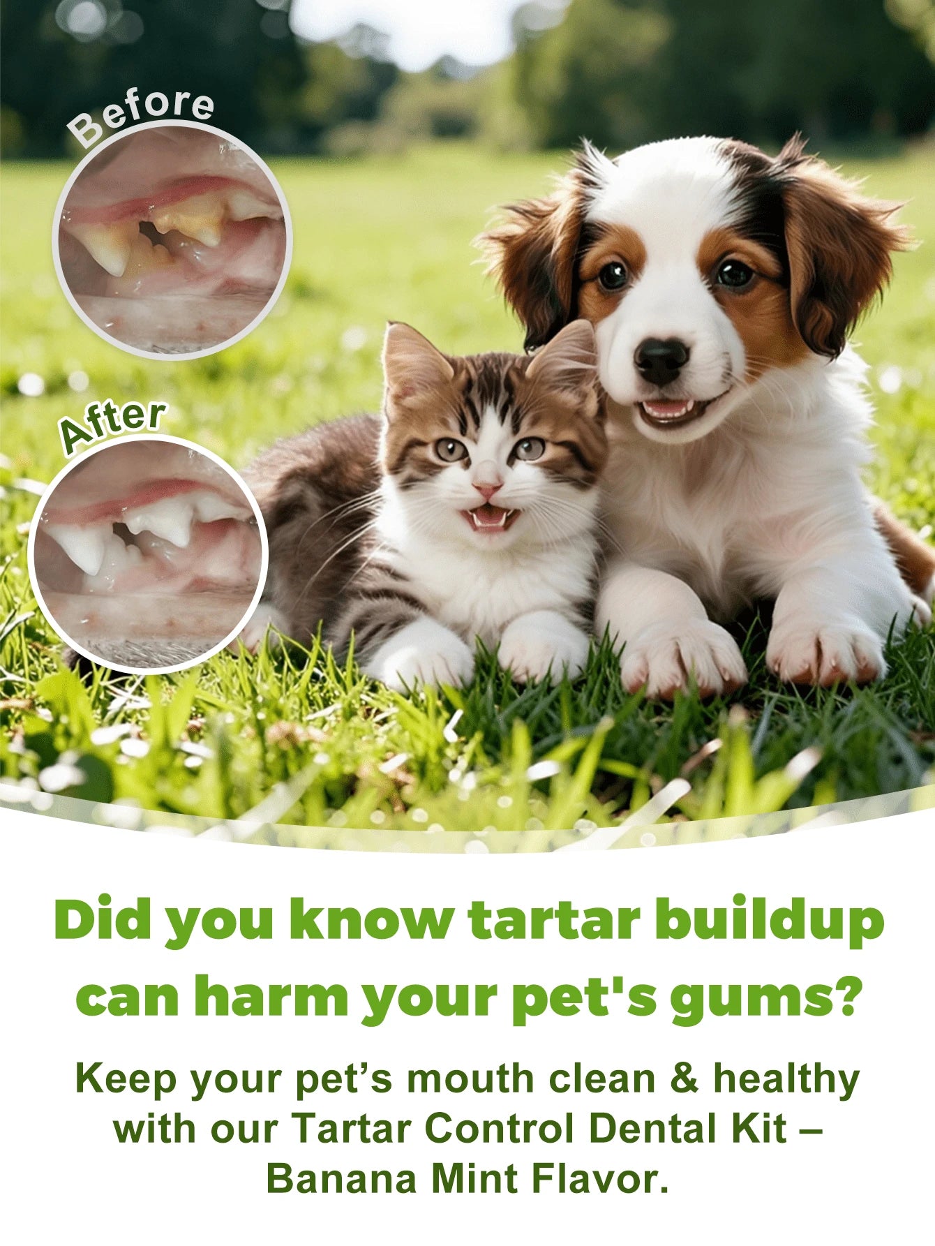 Dog Teeth Cleaning Kit – Banana Mint Toothpaste, Toothbrush & Finger Brush