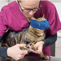 Cat Breathable Mask – Anti‑Scratch, Anti‑Bite, Adjustable Grooming & Bathing Muzzle