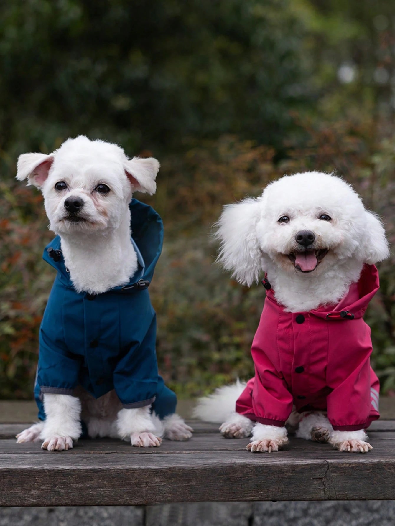 Dog Raincoat – Waterproof Hooded Pet Rainwear with Reflective Strips & Adjustable Leash Hole