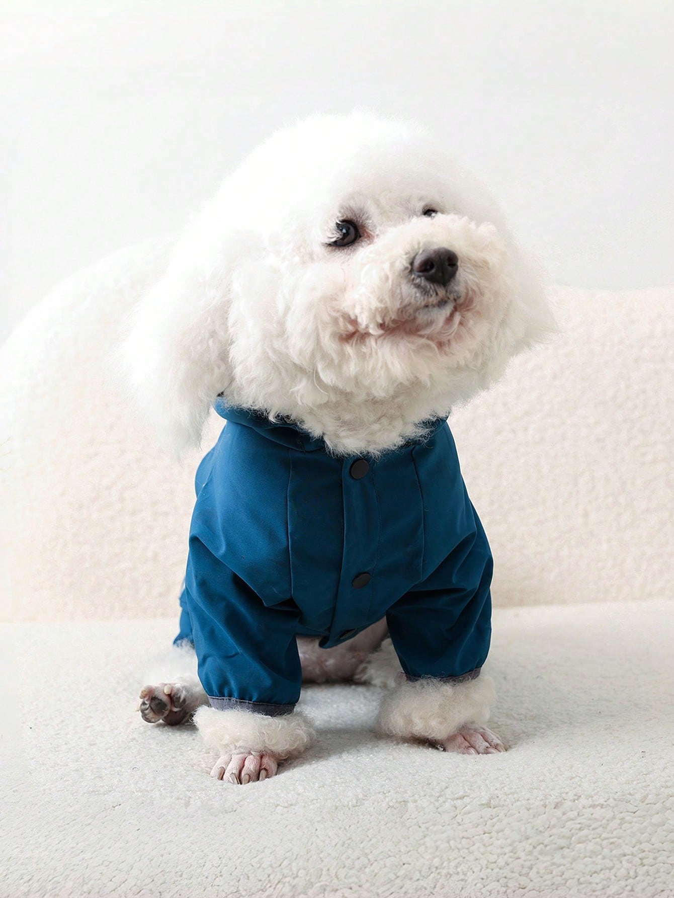 Dog Raincoat – Waterproof Hooded Pet Rainwear with Reflective Strips & Adjustable Leash Hole