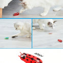 Automatic Flapping Interactive Cat Toy | Battery-Powered Motion Toy for Cats