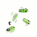 Automatic Flapping Interactive Cat Toy | Battery-Powered Motion Toy for Cats