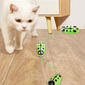 Automatic Flapping Interactive Cat Toy | Battery-Powered Motion Toy for Cats