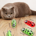 Automatic Flapping Interactive Cat Toy | Battery-Powered Motion Toy for Cats