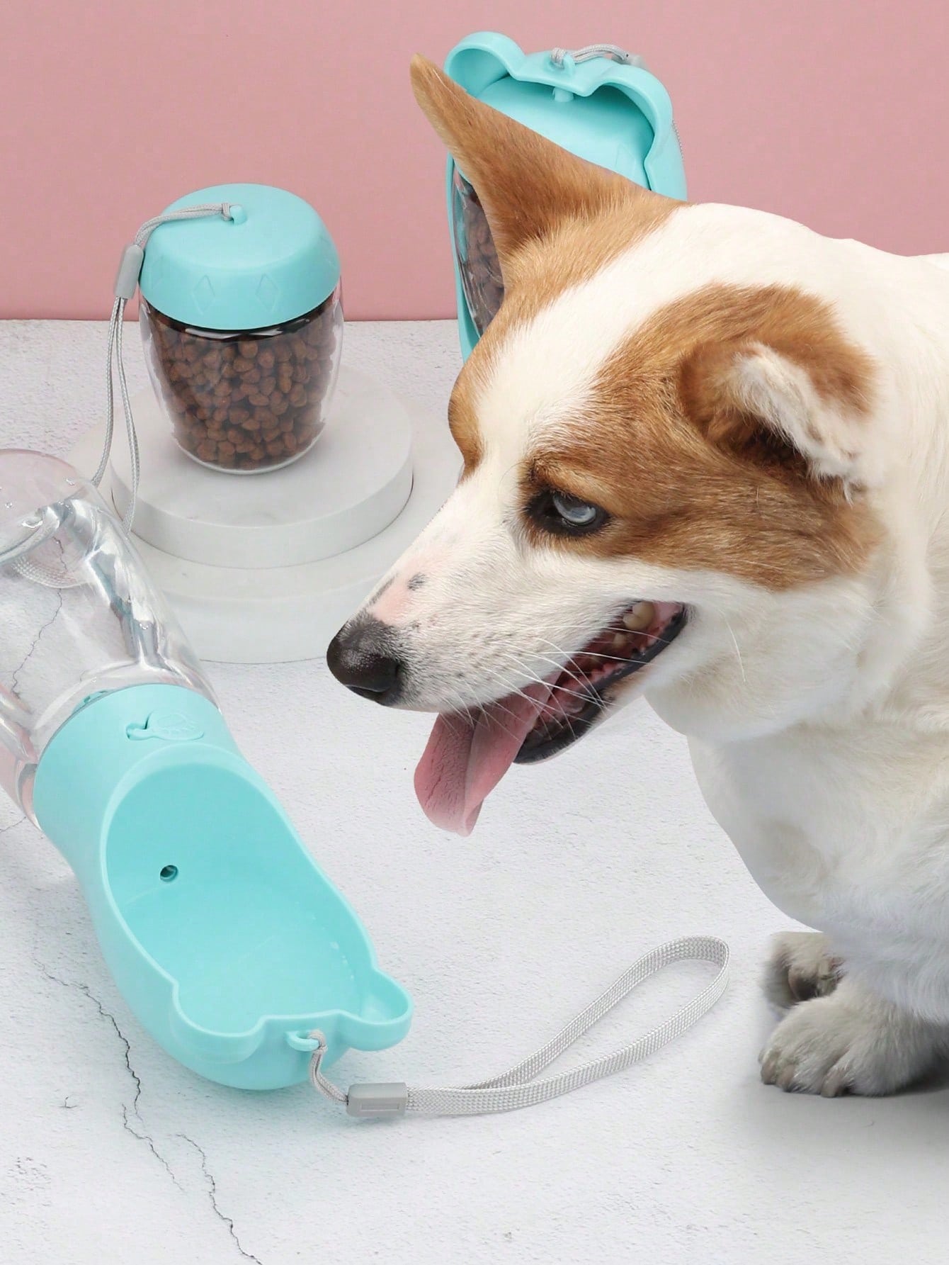 Portable Pet Travel Water & Food Bowl for Dogs & Cats | Foldable