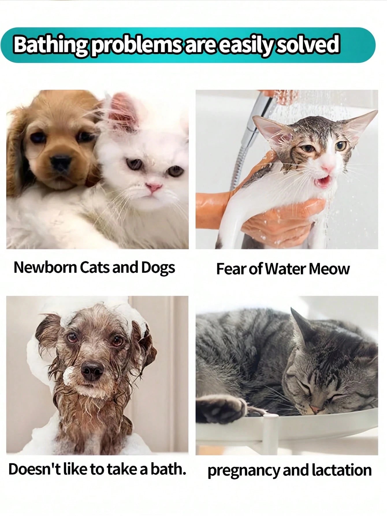 Pet Grooming Wipes Gloves | No-Rinse Cleaning for Cats & Dogs (6 pieces per pack)