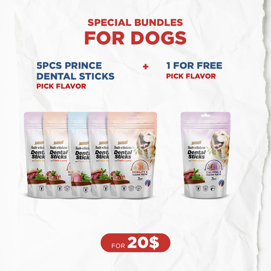 Dog Bundle Offer:  6 Prince Dental Sticks